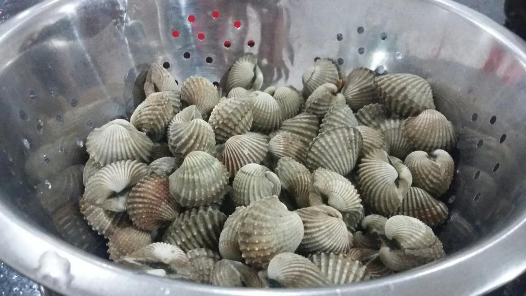 Kerang Kiloan Rudi